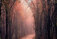 岁月催人变老，我与时间赛跑！春锦赛达标，孙杨期待再战全运.