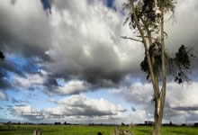 玩加电竞官网：黑龙江省体育局公示：给予殷琦等11名同志记功奖励、给予王婧紫仟等5名同志嘉奖奖励澎湃新闻.