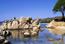 玩加电竞官网：赵继伟16+9+9弗格34分 辽宁客胜新疆总分3-0.